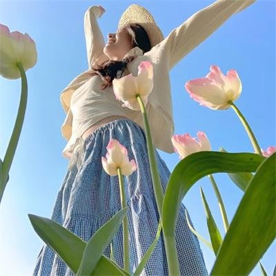 大破白莲教粤语
